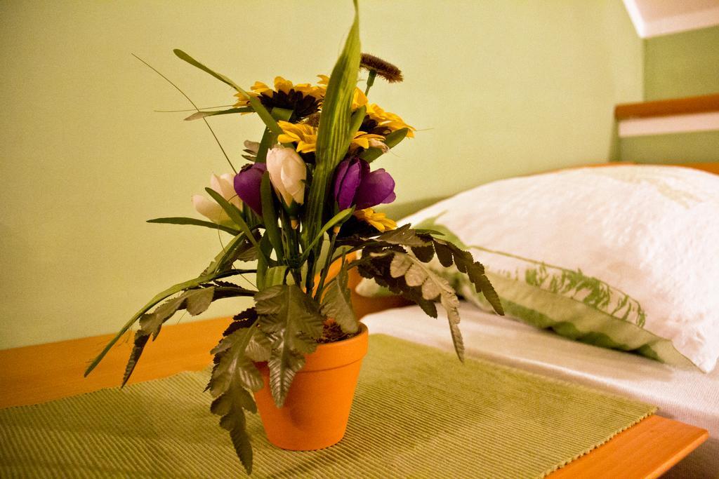 Guesthouse Jug Blato Εξωτερικό φωτογραφία