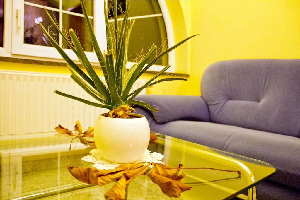Guesthouse Jug Blato Εξωτερικό φωτογραφία